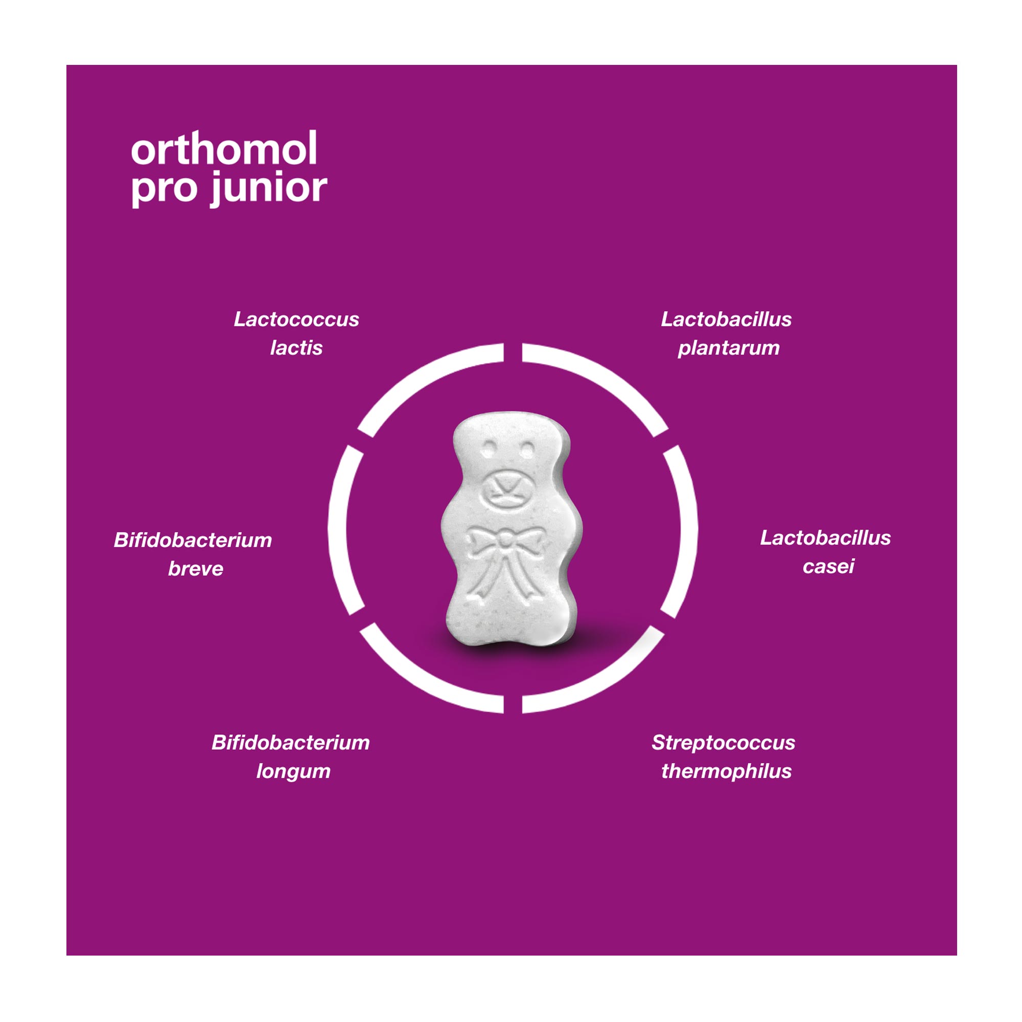 Orthomol pro junior Kautabletten Darmbakterien