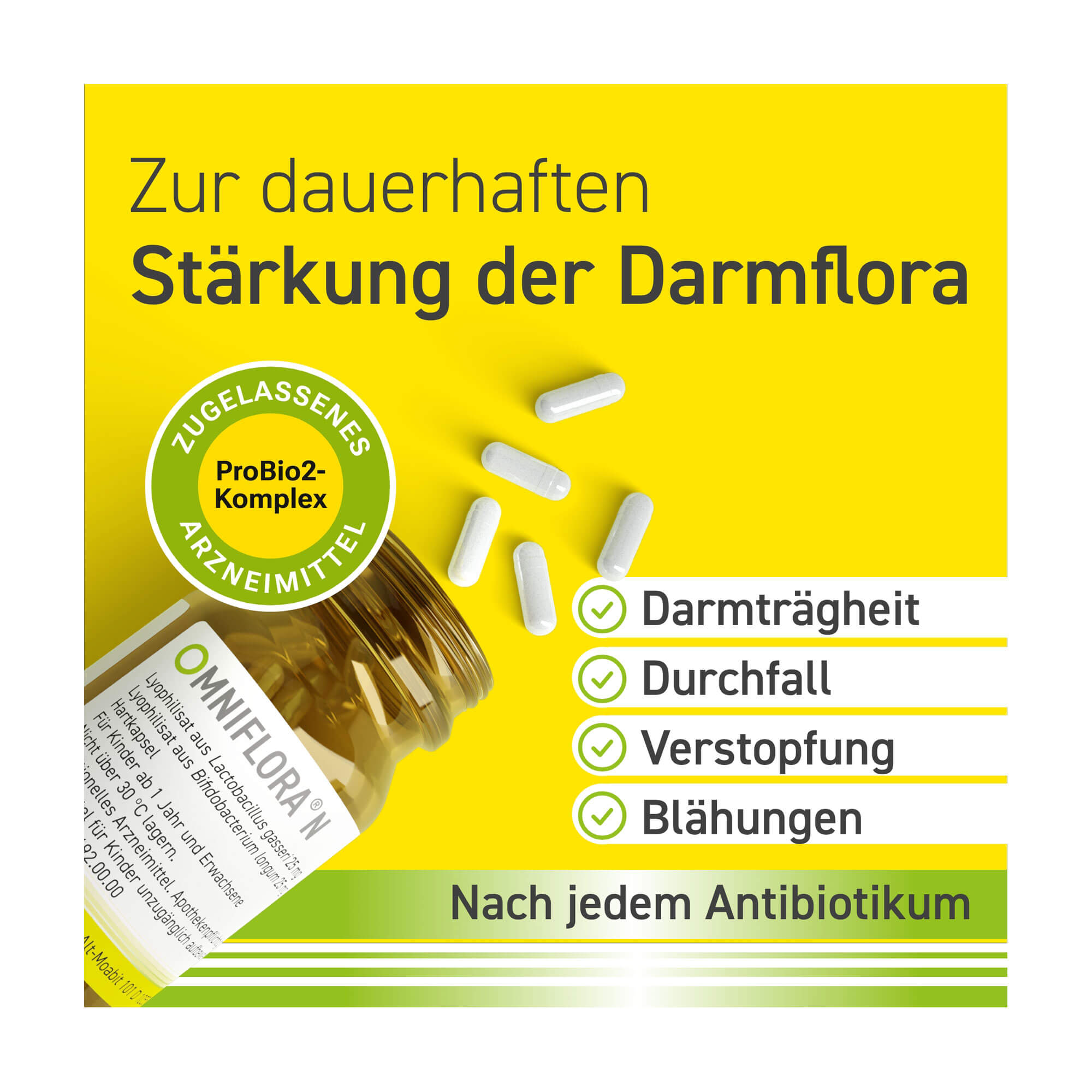 Grafik Omniflora N Zur dauerhaften Stärkung der Darmflora