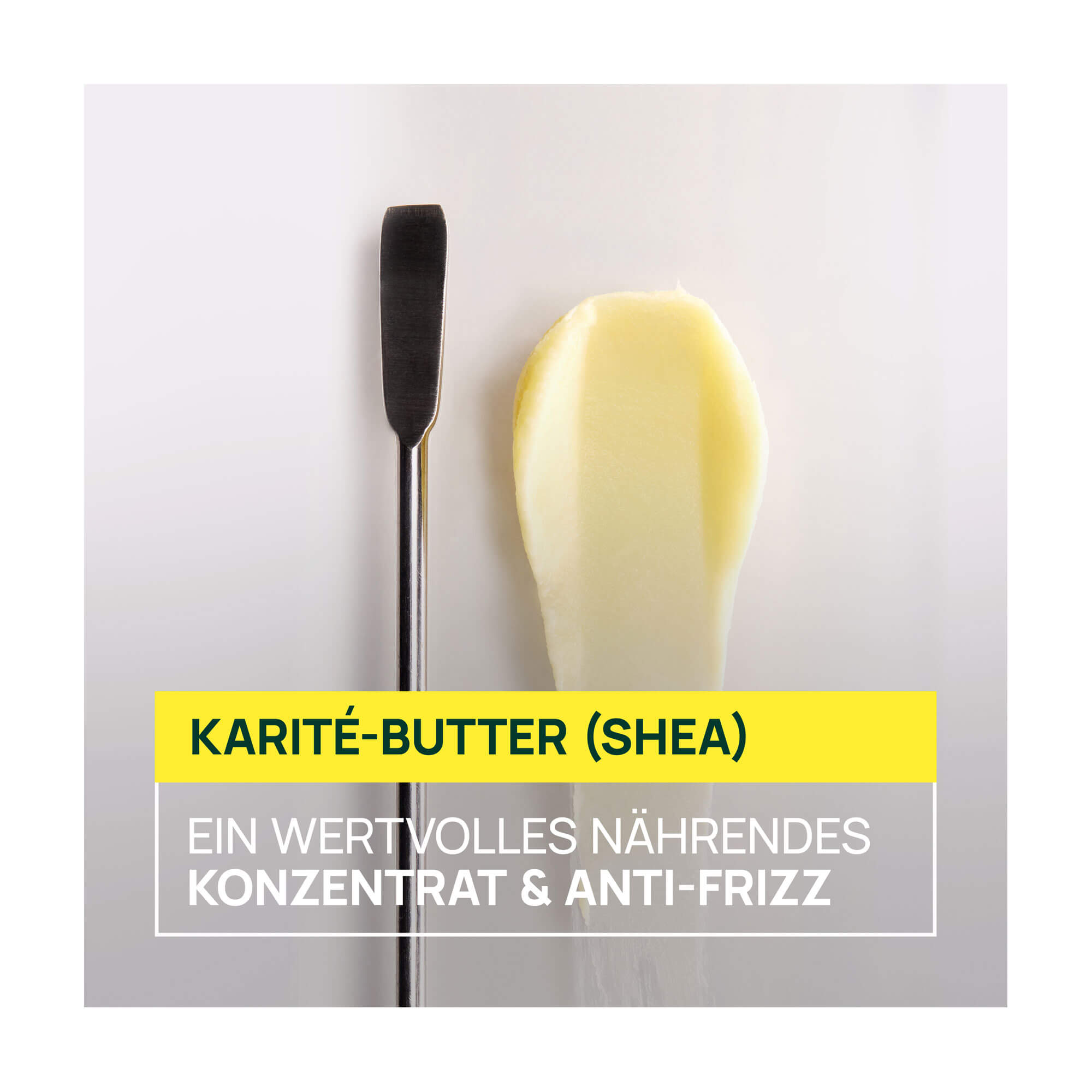 Grafik Rene Furterer Sublime Karité Feuchtigkeitsspendendes Shampoo Mit Karité-Butter (Shea)