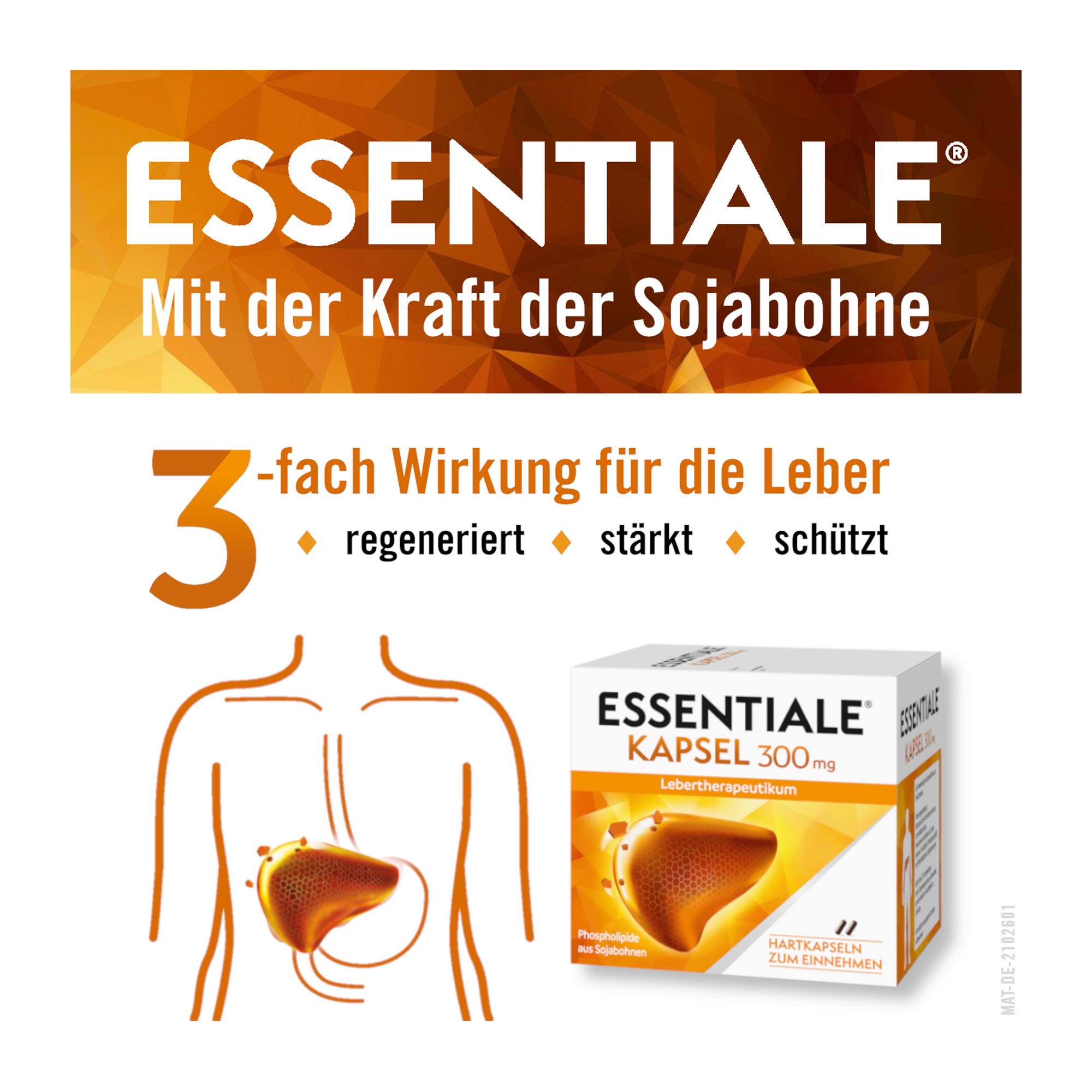 Grafik Essentiale Kapseln 300 mg mit der Kraft der Sojabohne