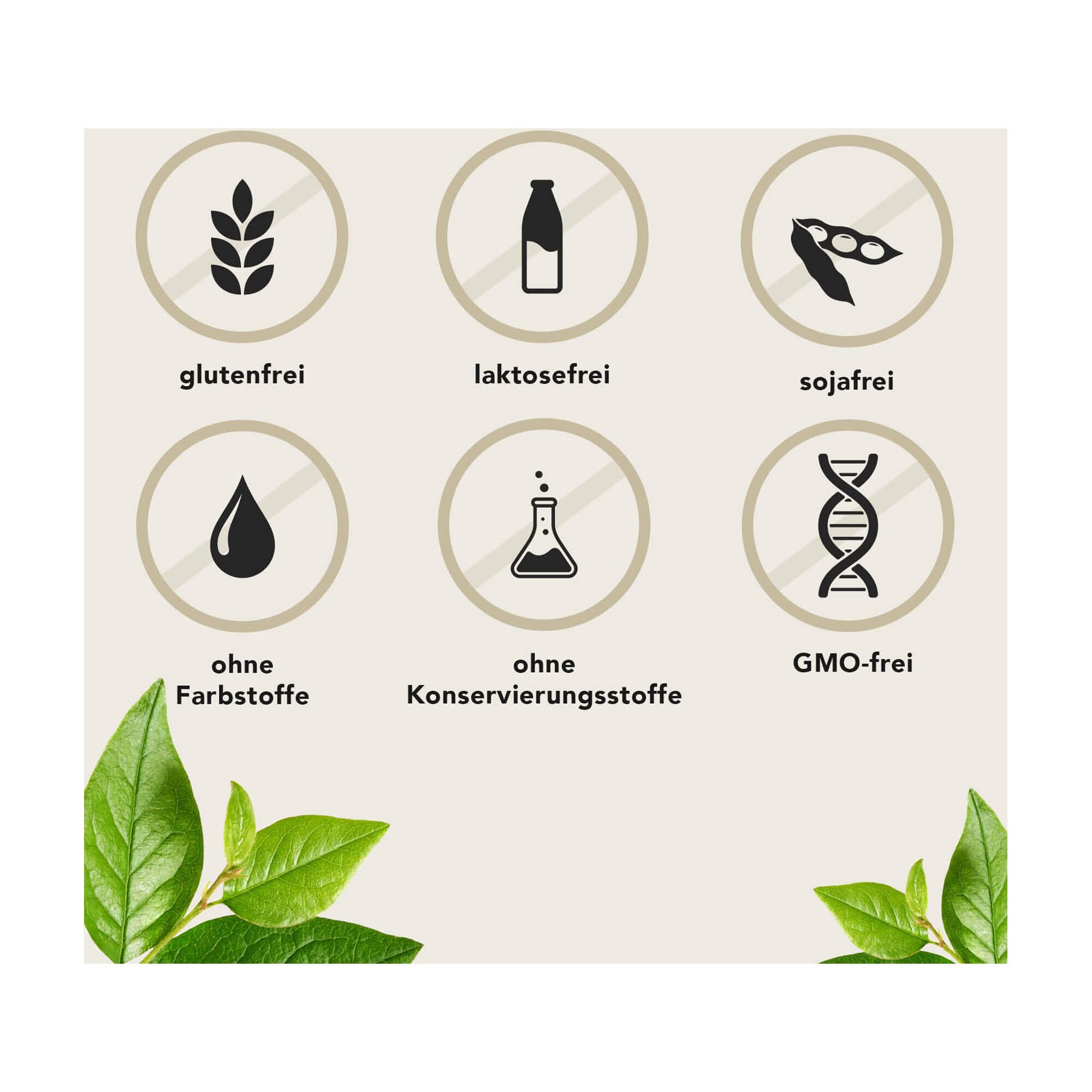 Grafik Fermentura BlasenVital Kapseln Produktmerkmale