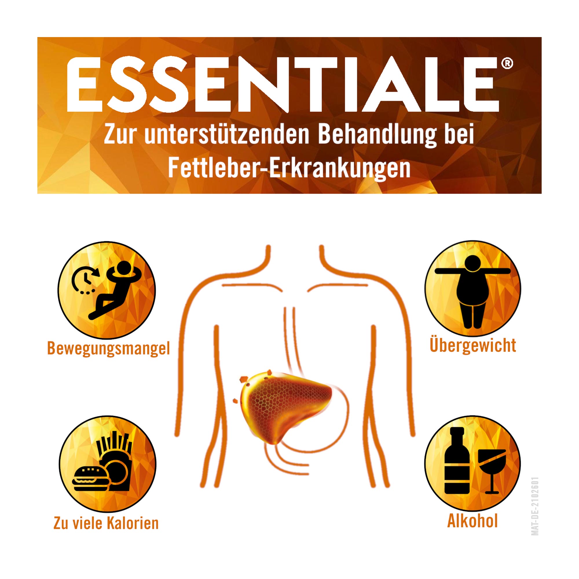 Grafik Essentiale Kapseln 300 mg zur unterstützenden Behandlung bei Fettleber-Erkrankungen