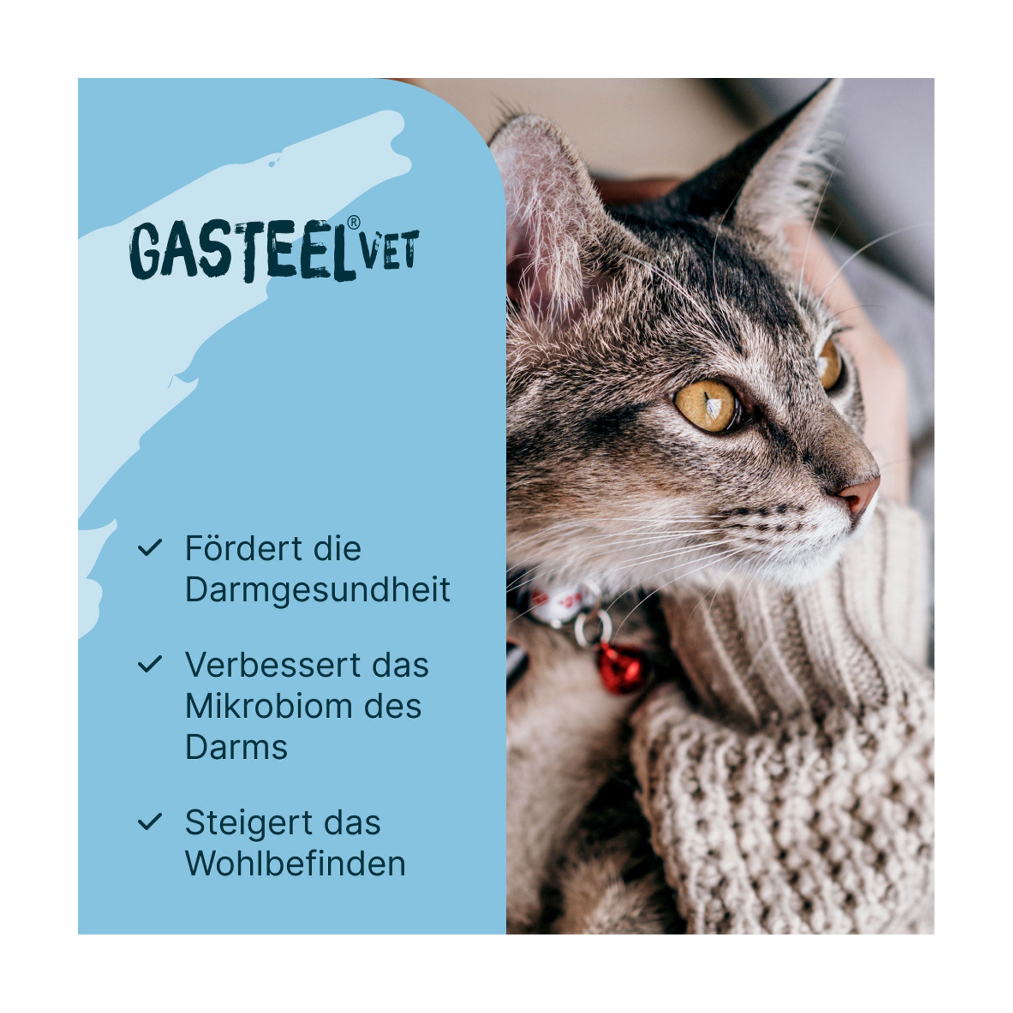 Grafik Gasteel Vet Kapseln für Hunde und Katzen Produktmerkmale