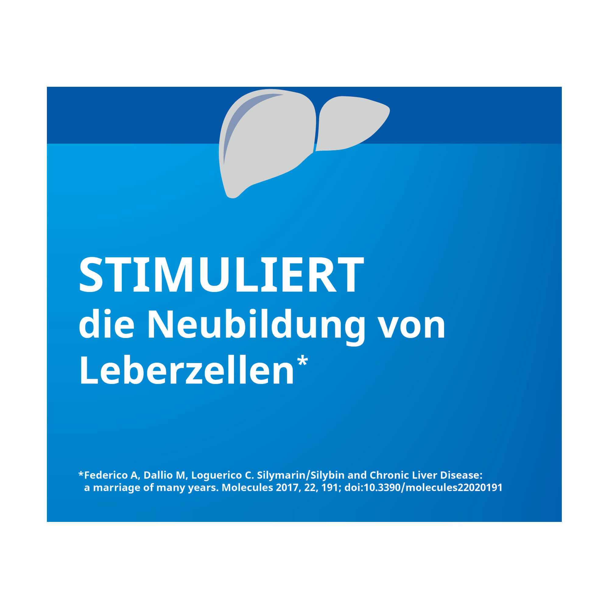 Grafik Silymarin Stada 109 mg Hartkapseln Stimuliert die Neubildung von Leberzellen*