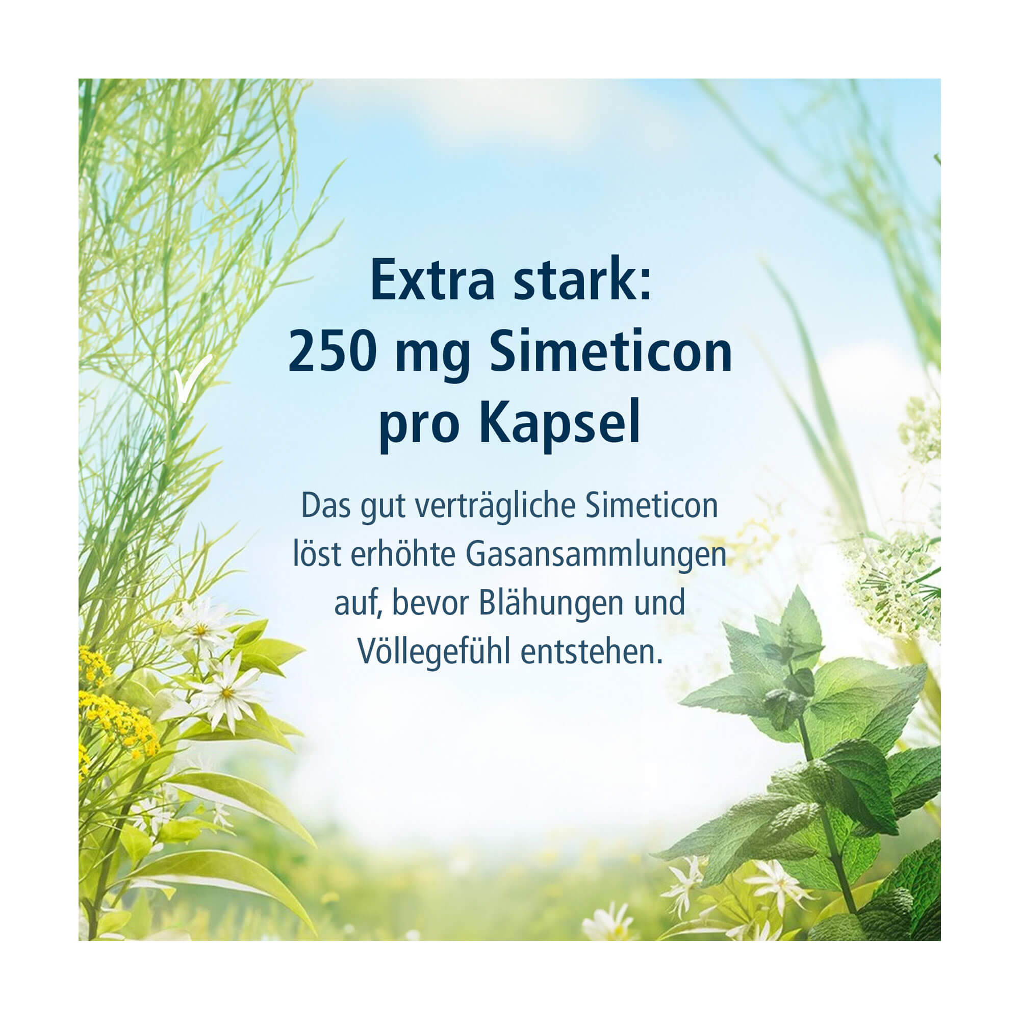 Grafik Klosterfrau Magen-Darm Entspannung Kapseln Extra stark: 250 mg Simeticon pro Kapsel