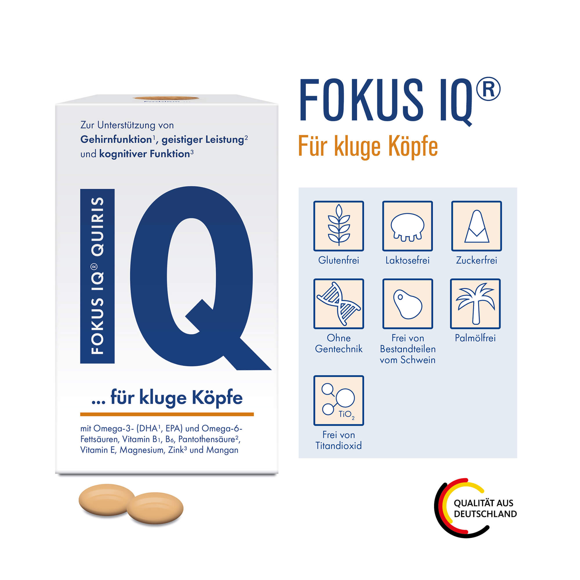 Grafik Fokus IQ Kapseln Produkteigenschaften