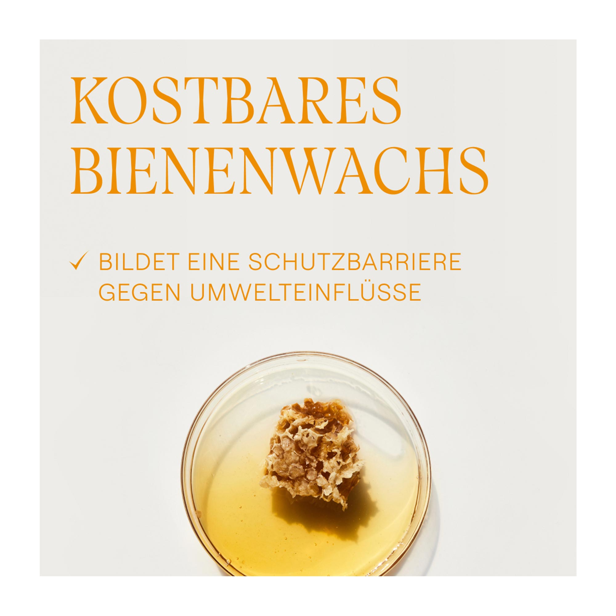 Grafik Weleda Coldcream Gesichtscreme kostbares Bienenwachs