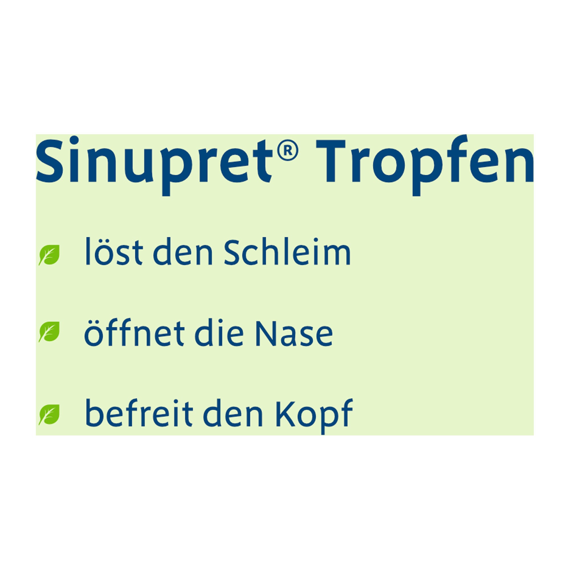 Grafik Sinupret Tropfen Löst den Schleim. Öffnet die Nase und befreit den Kopf.