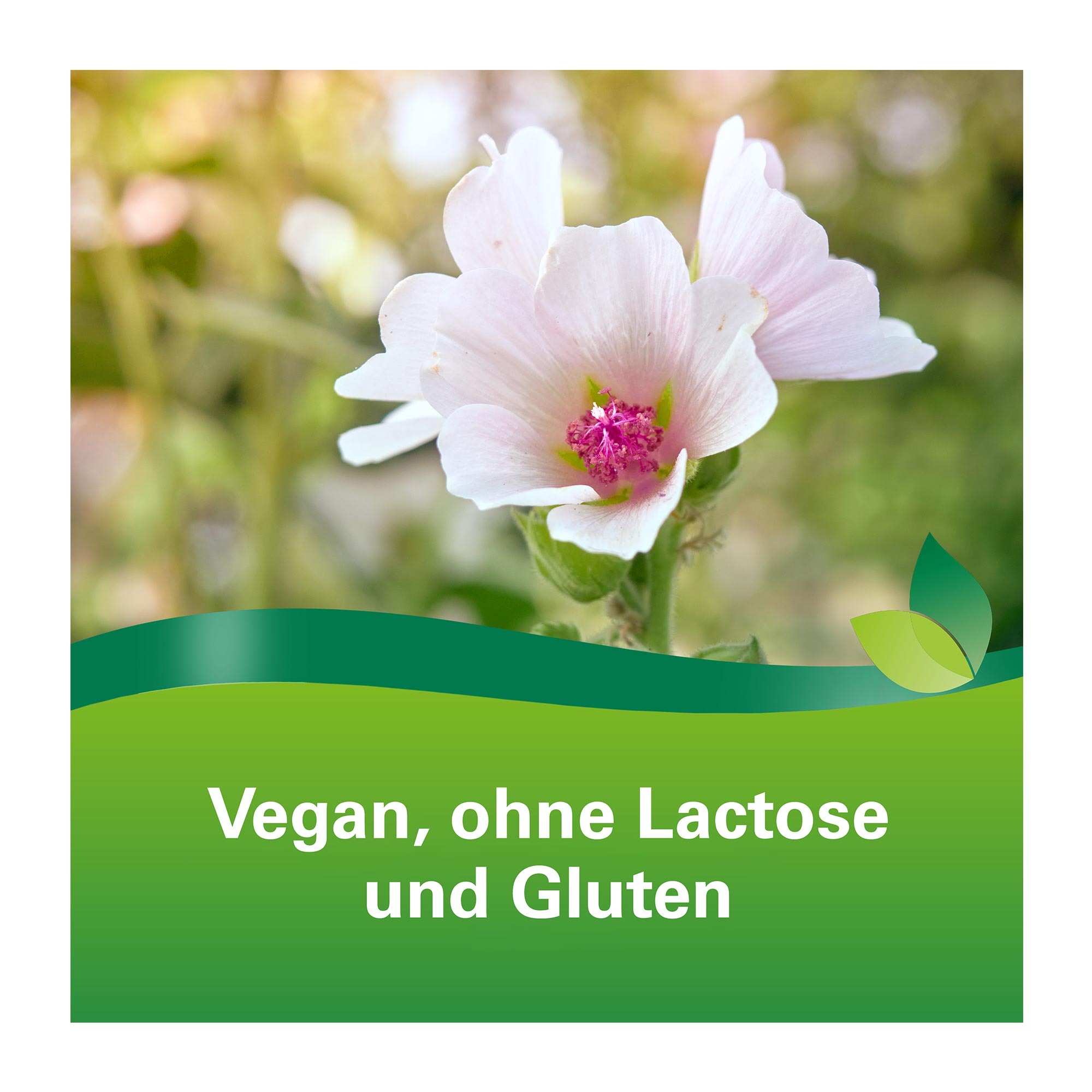 Grafik Phytohustil Hustenreizstiller Sirup vegan, ohne Lactose und Gluten