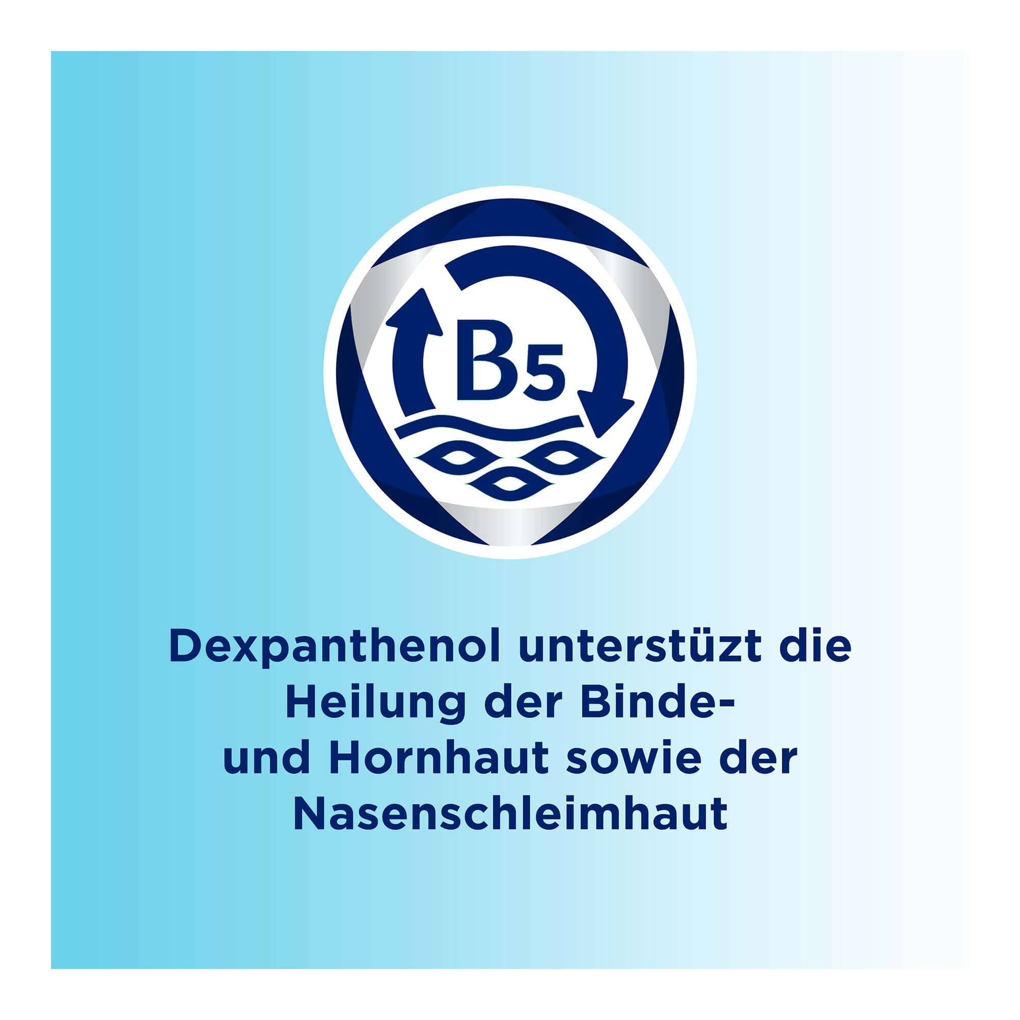 Grafik Bepanthen Augen- und Nasensalbe Dexpanthenol unterstützt die Heilung der Binde- und Hornhaut sowie der Nasenschleimhaut