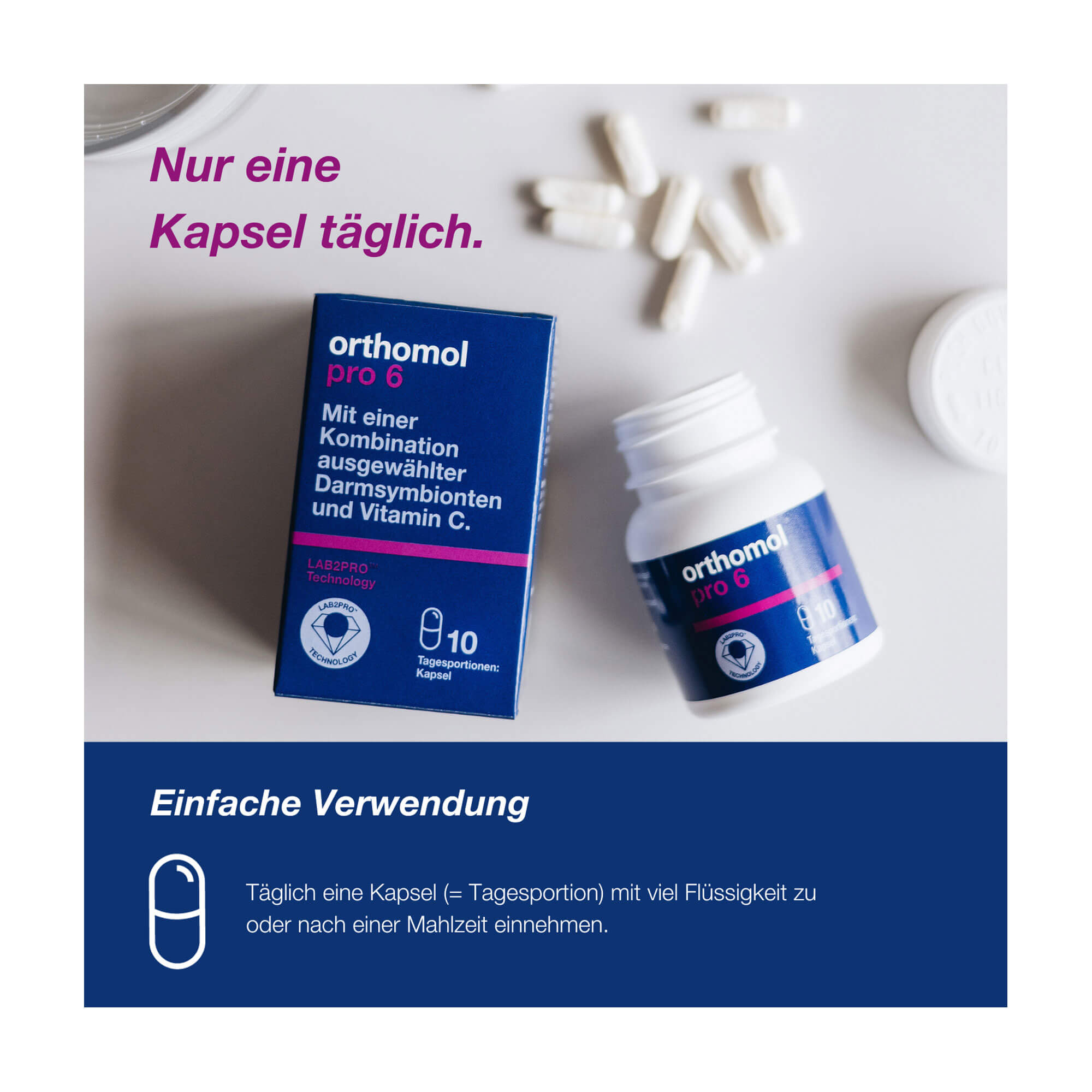 Orthomol Pro 6 Kapseln Einnahmeempfehlung