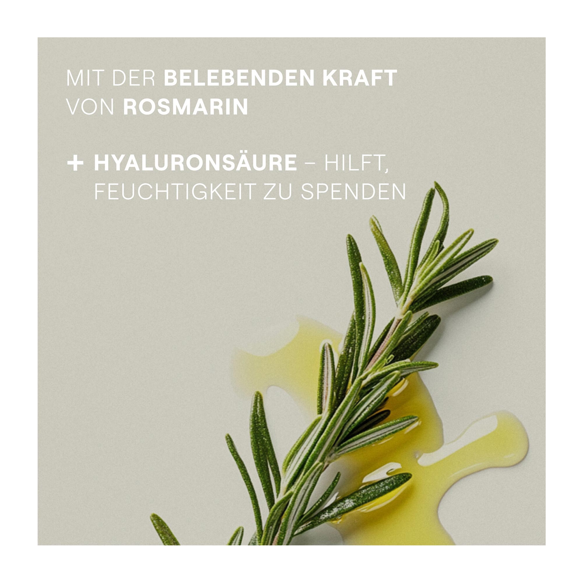 Grafik Weleda Rosmarin Revitalising Shampoo mit der belebenden Kraft von Rosmarin