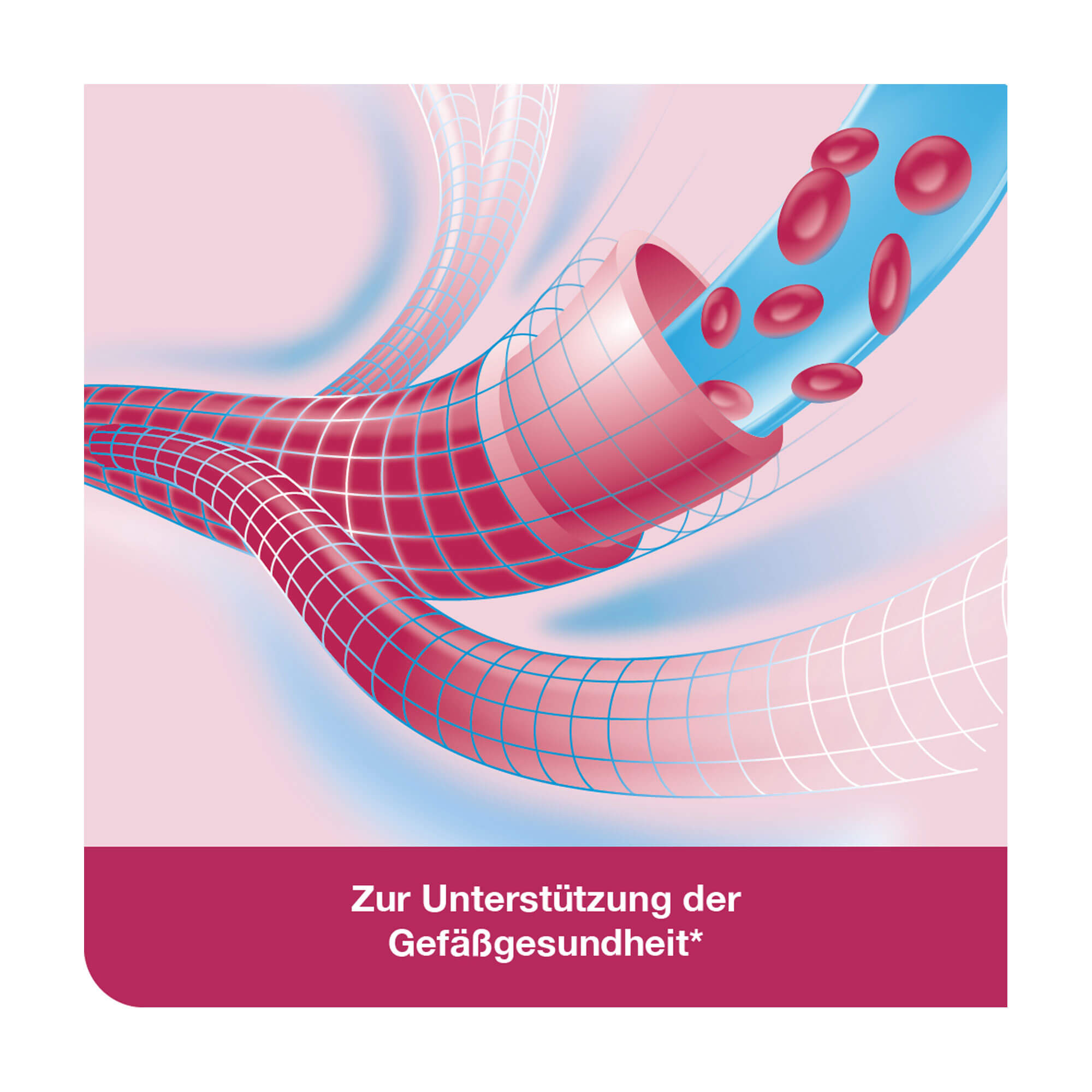 Grafik VasoLoges concept Filmtabletten Zur Unterstützung der Gefäßgesundheit*