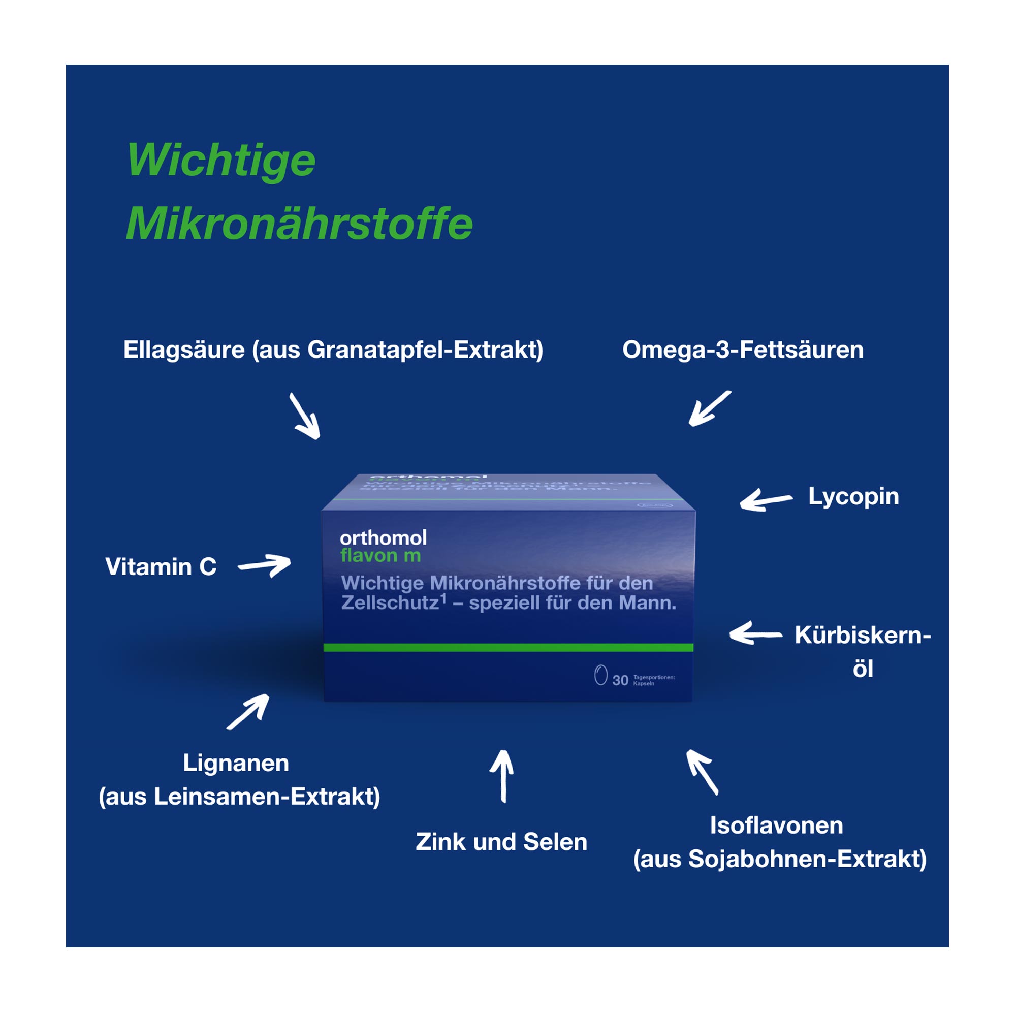 Orthomol Flavon M Zusammensetzung