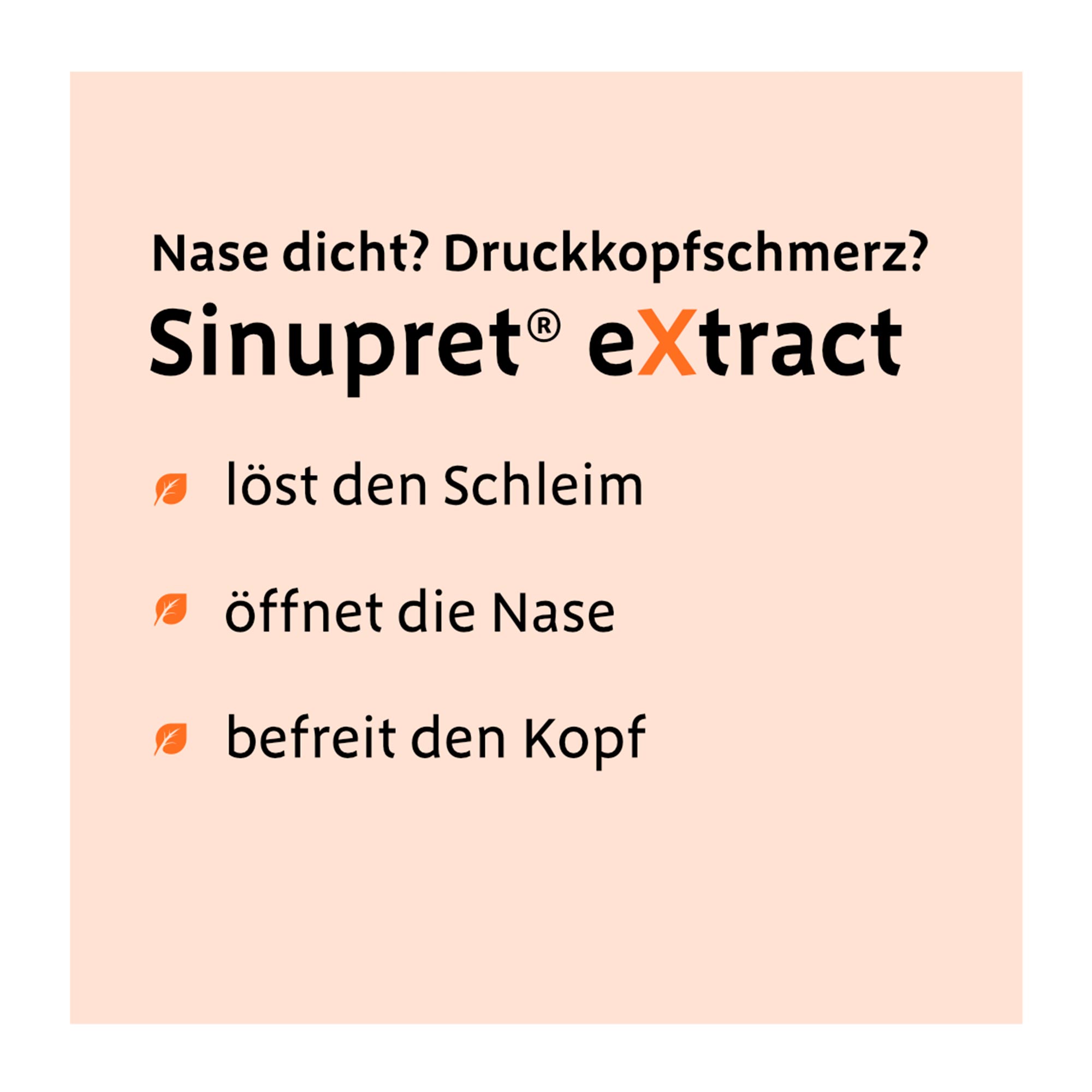 Grafik Sinupret extract Überzogene Tabletten löst den Schleim, öffnet die Nase und befreit den Kopf