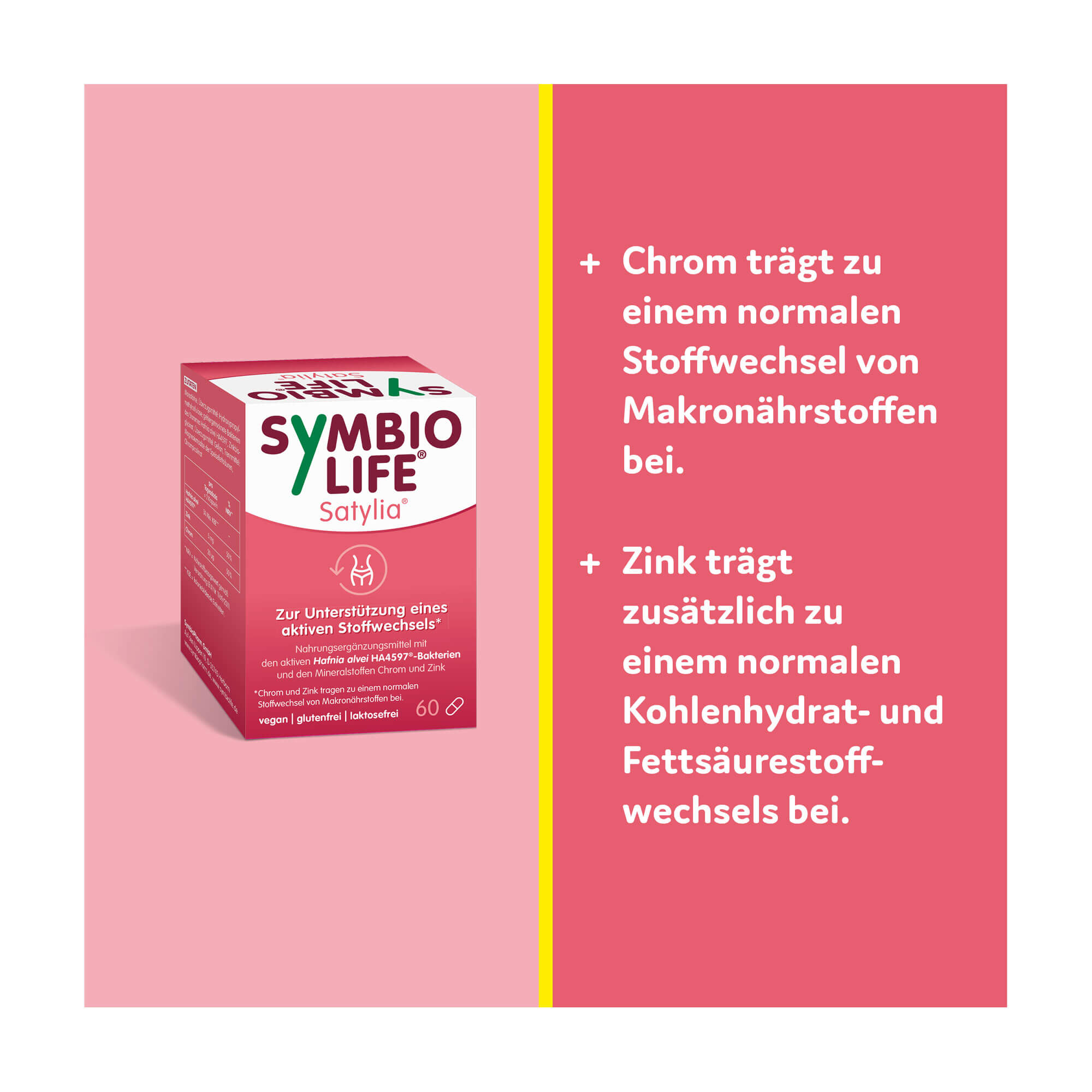 SymbioLife Satylia Kapseln Wirkung von Chrom und Zink