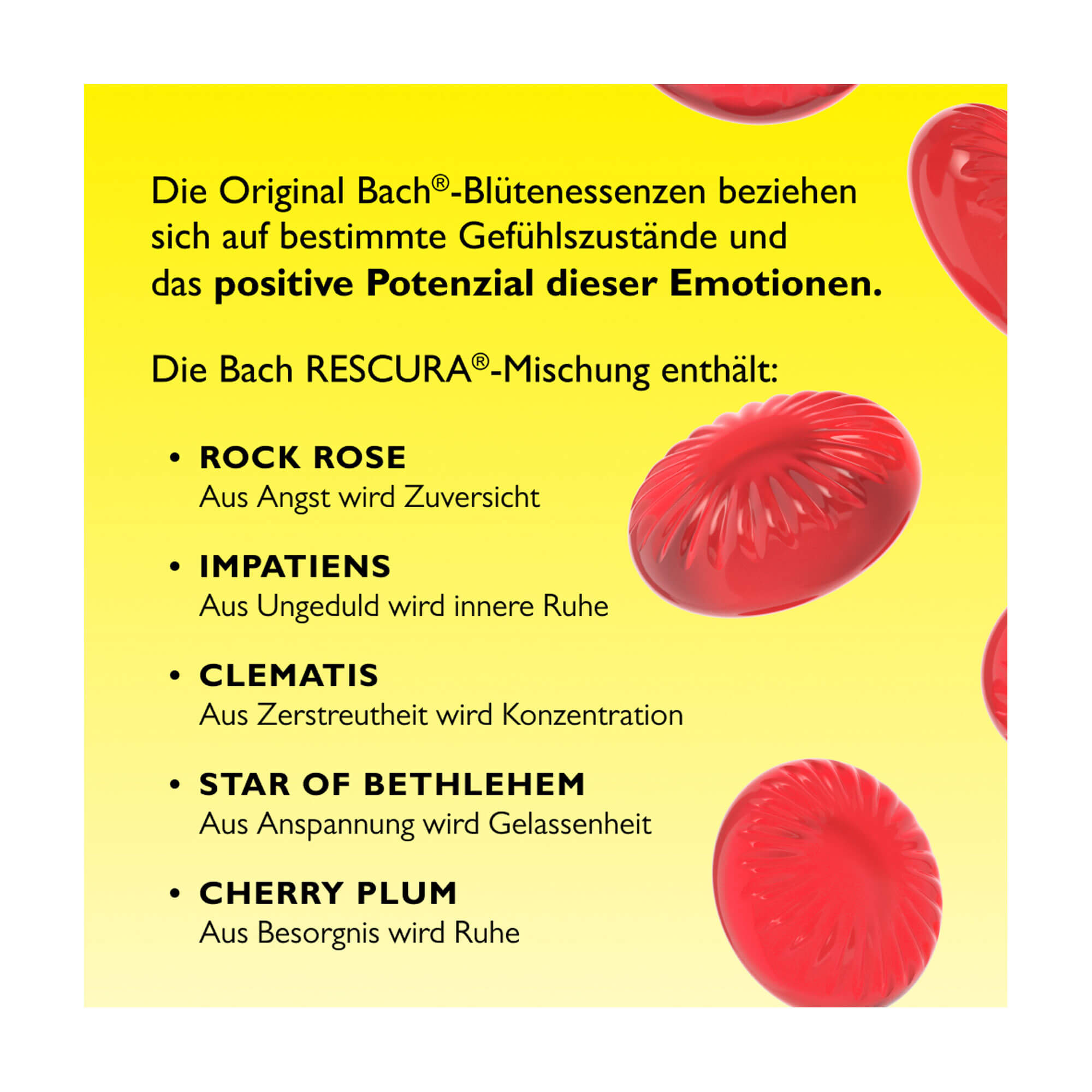 Grafik Bachblüten Original Rescura Pastillen Wassermelone Bachblütenessenzen