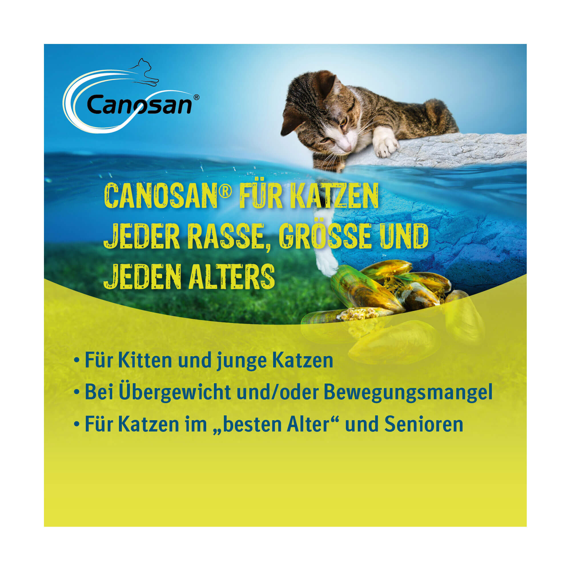 Grafik Canosan Kautabletten für Katzen Geeignet für Katzen jeder Rasse, Größe und jeden Alters