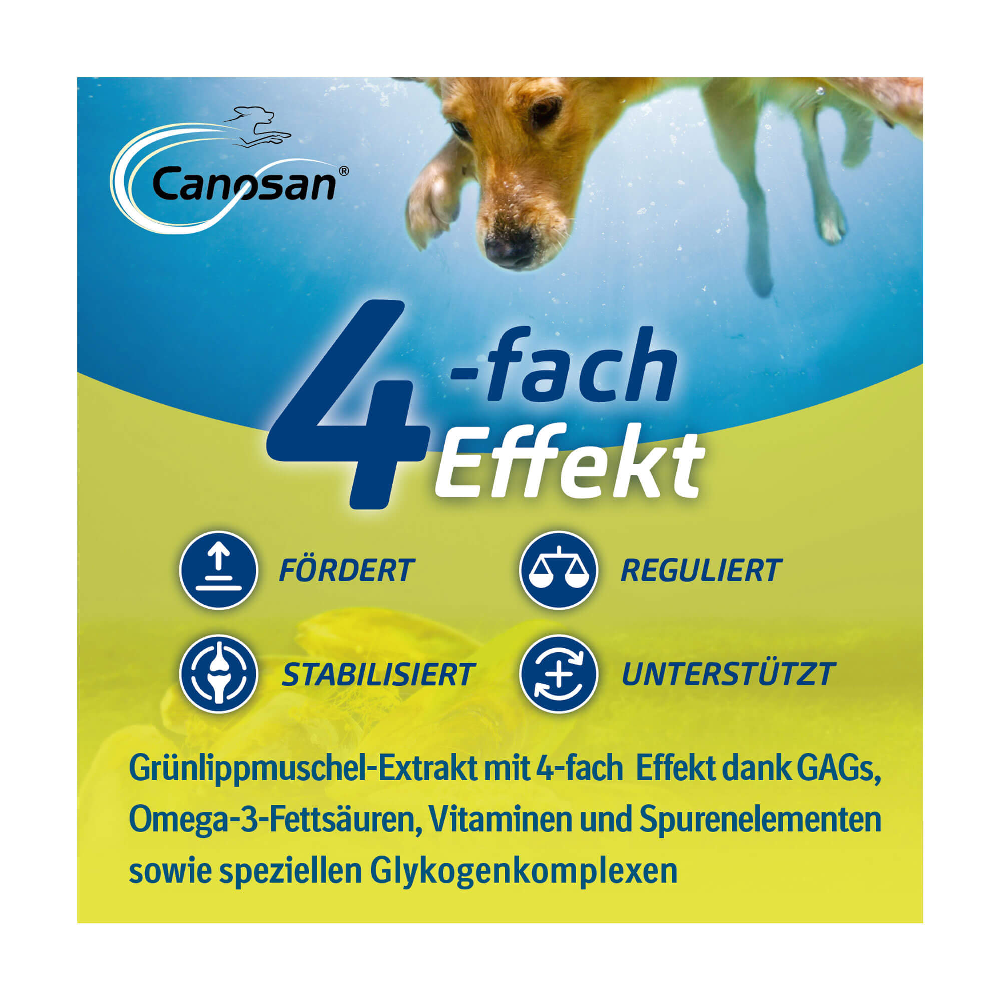 Grafik Canosan Pellets für Hunde 4-fach Effekt: Fördert. Reguliert. Stabilisiert. Unterstützt.