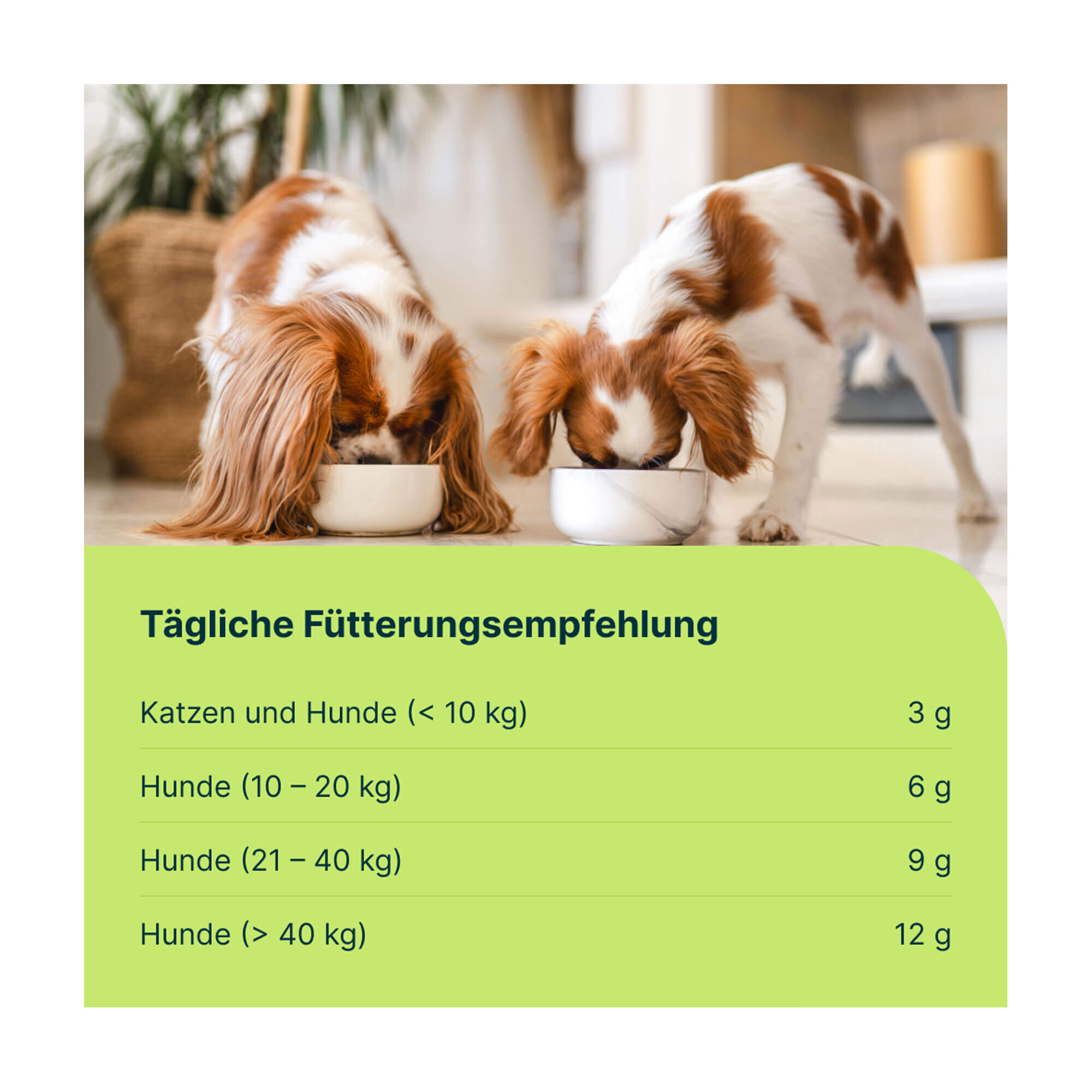 Grafik Mobeel Pulver für Hunde und Katzen Tägliche Fütterungsempfehlung