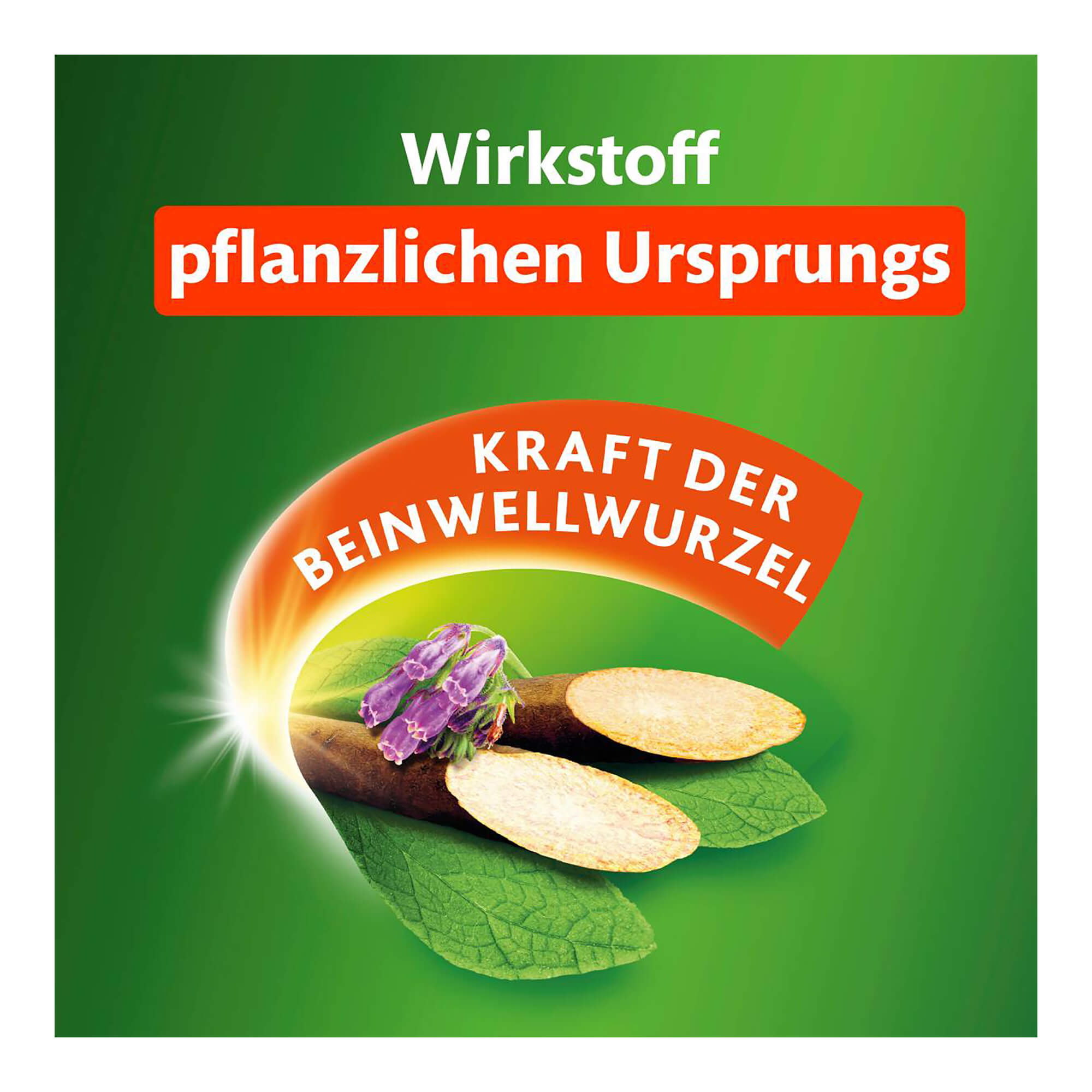 Grafik Kytta Geruchsneutral Wirkstoff pflanzlichen Ursprungs. Kraft der Beinwellwurzel