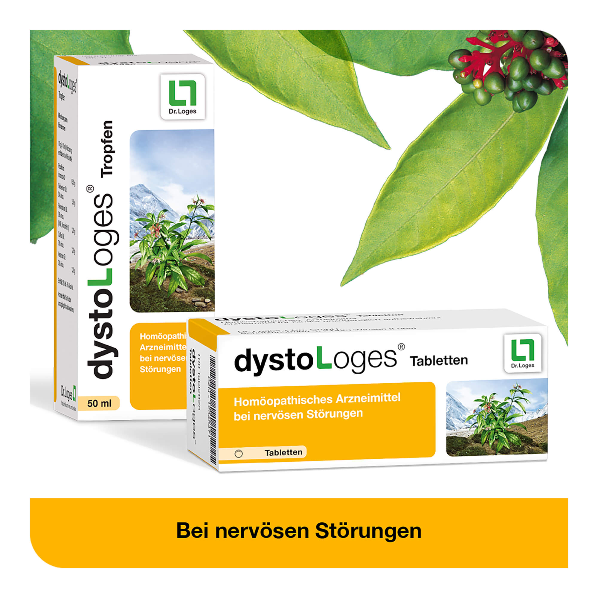 Grafik DystoLoges Tabletten & Tropfen Zur Anwendung bei nervösen Störungen