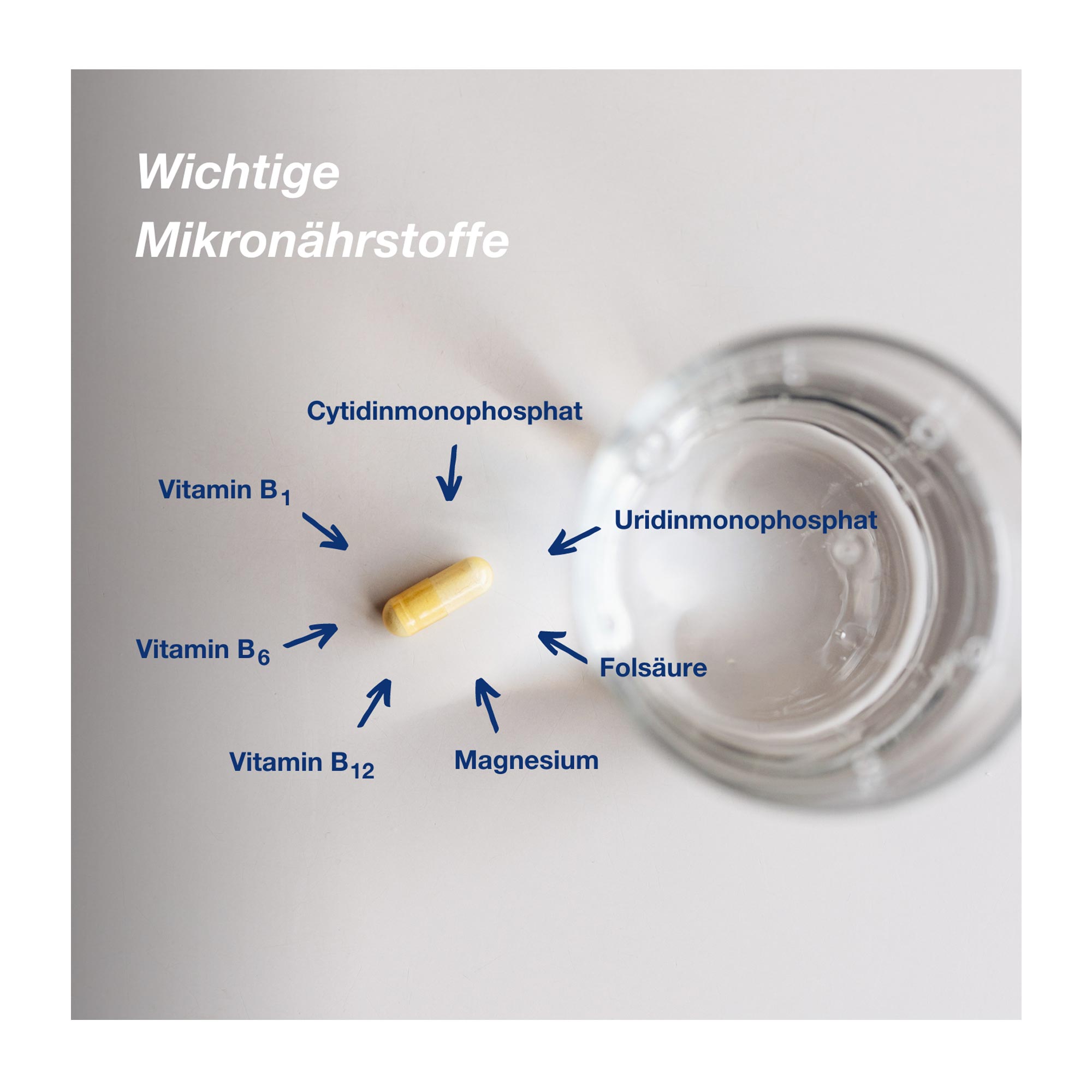 Orthomol neuroprotect Kapseln