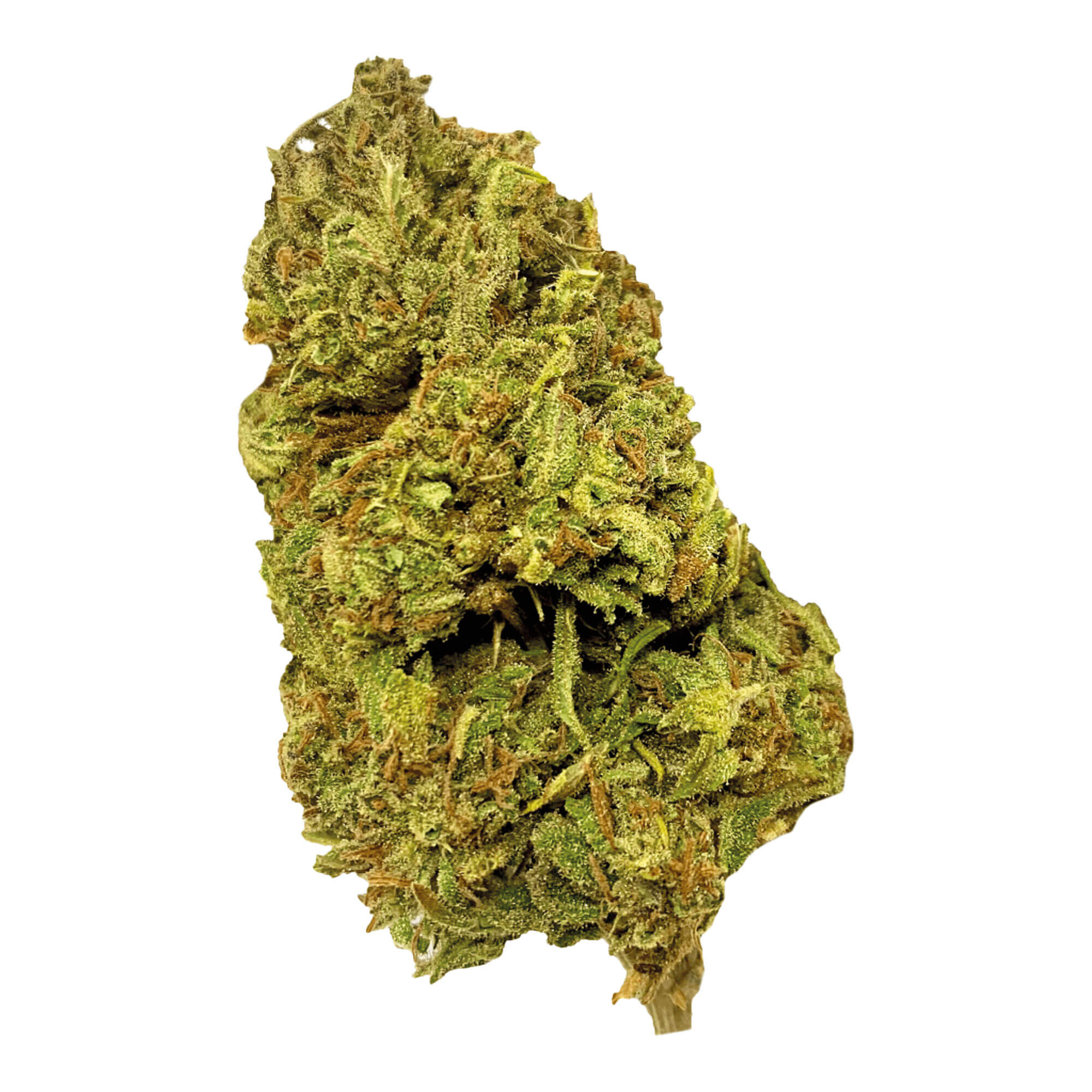 Indica light NM OG Punch Cannabisblüten enthält 18 % THC. Die Blüte zeichnet sich durch ein beeriges, erdiges und holziges Aroma aus. Für Erwachsene.