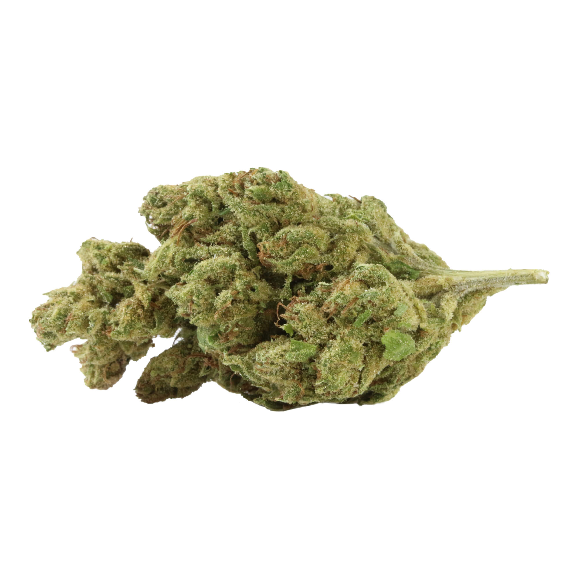 Cannabisblüten für verschiedene Anwendungsarten. Für Erwachsene.