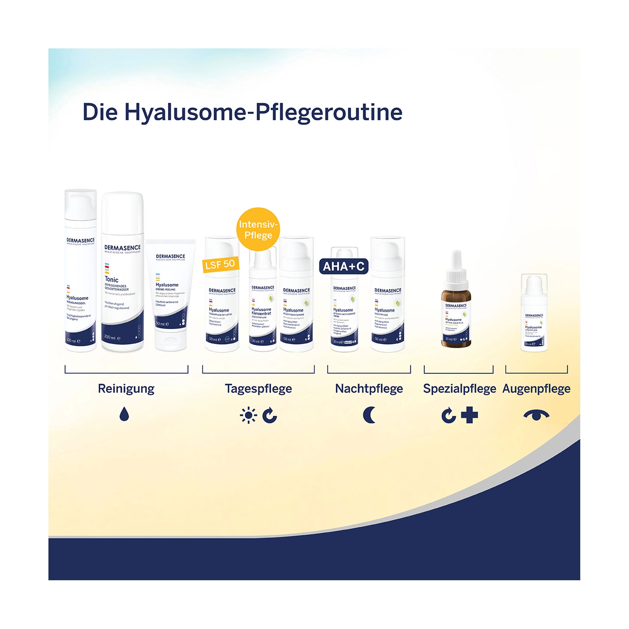 Grafik Dermasence Hyalusome-Pflegeroutine