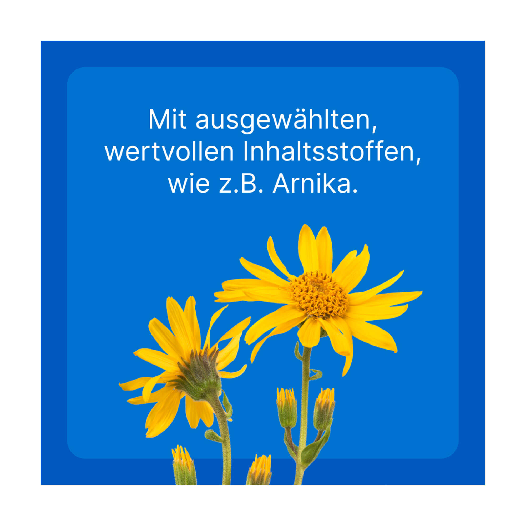 Grafik Traumeel T ad us. vet. Tabletten Mit ausgewählten, wertvollen Inhaltsstoffen, wie z.B. Arnika