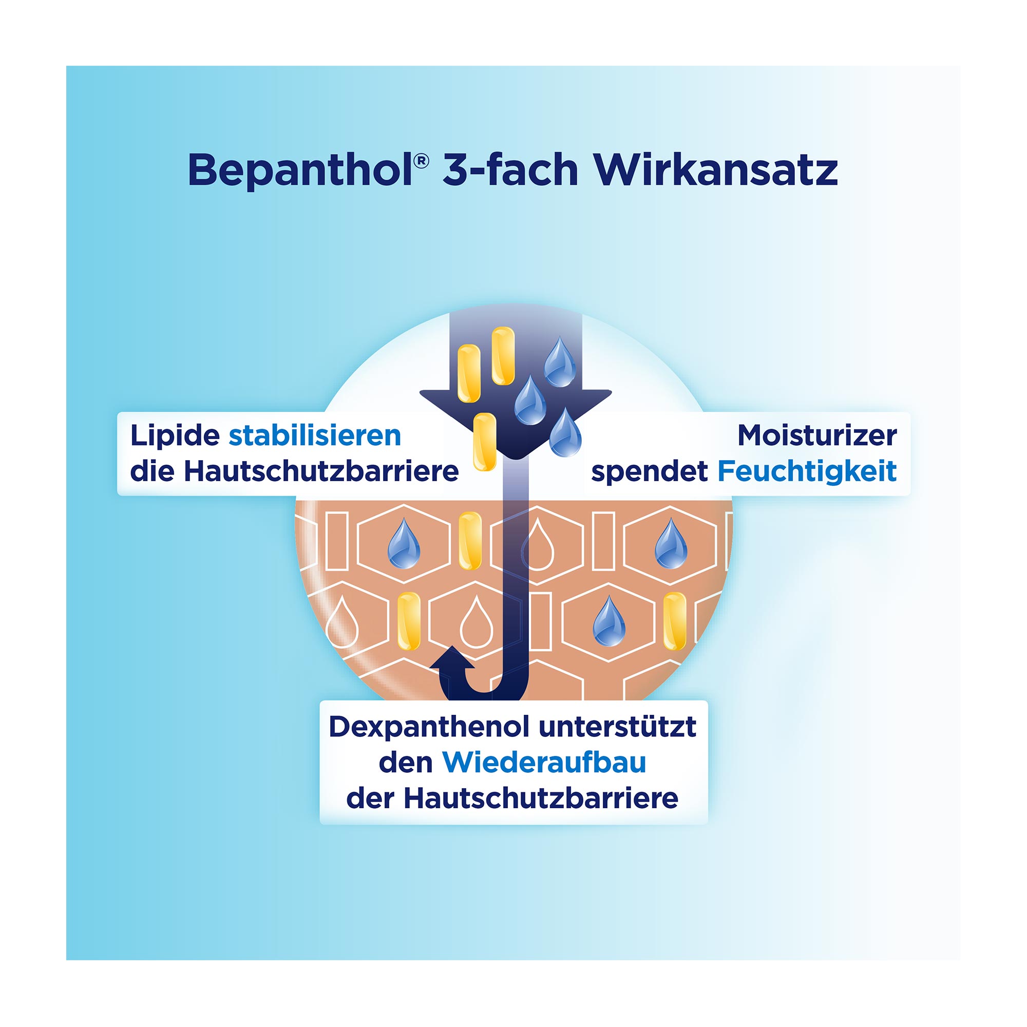 Grafik Bepanthol Intensiv Körperlotion Nachfüllbeutel 3-fach Wirkansatz