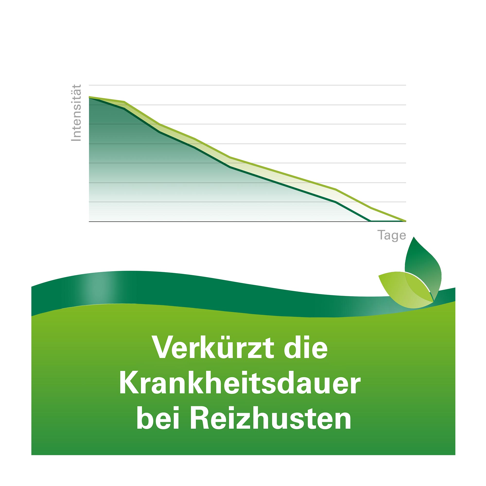 Grafik Phytohustil Hustenreizstiller Sirup verkürzt die Krankheitsdauer bei Reizhusten