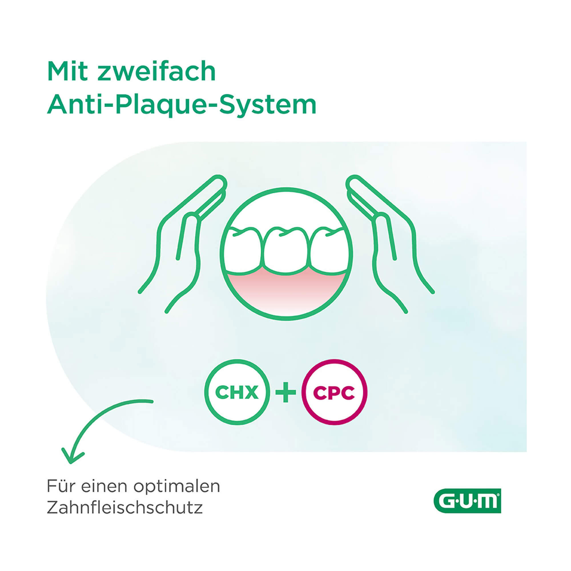 Grafik GUM Paroex Mundspülung Mit zweifach Anti-Plaque-System